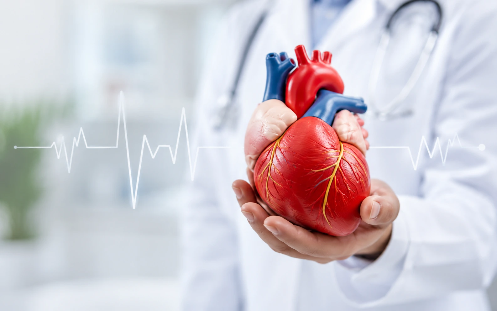 Consulta de Cardiología en iMEDICA Providencia
